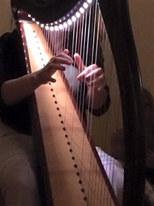 Canti Mantra a Cesena